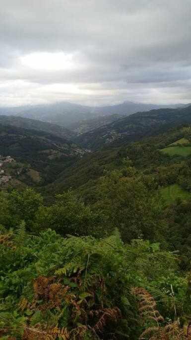 Encanto Asturiano Aller Exterior foto