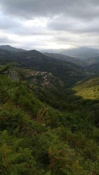 Encanto Asturiano Aller Exterior foto